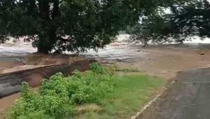 Raigarh news: धरमजयगढ में बारिश का कहर, ऊफान पर नदी- नाले ऊफान पर , थम गया जनजीवन! 2 img 20250823 wa0220719780510156884691