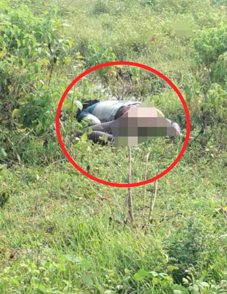 कसइया नाला पर अज्ञात लाश मिलने से फैली सनसनी, घरघोड़ा पुलिस जांच में जुटी । 1 IMG-20250906-WA02931.jpg